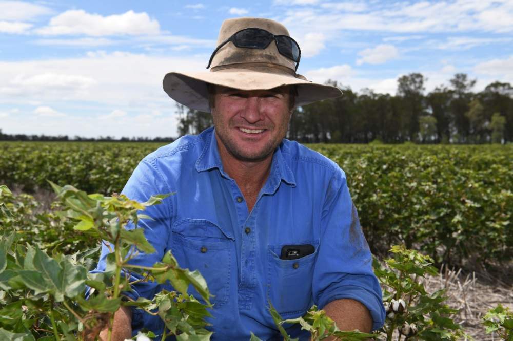 Better utilisation of moisture with cotton on Boomi property