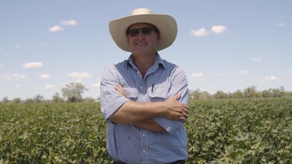 Why Cotton - Bernie Bierhoff talks about his experiences