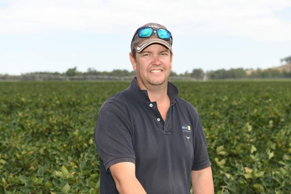 Weed control and profitability pushing cotton into new areas