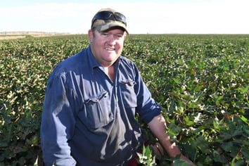 Cotton and rice working together for Griffith enterprise