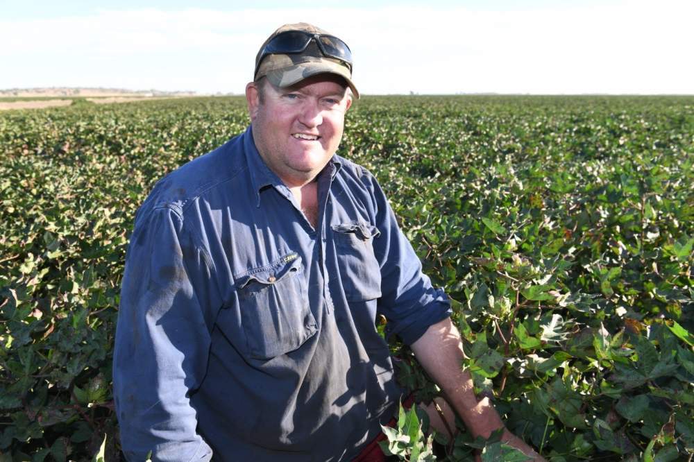 Cotton and rice working together for Griffith enterprise