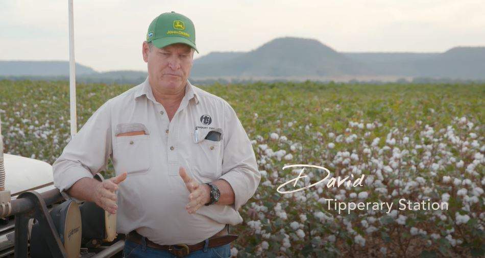 Modern Cotton: David - Tipperary Station