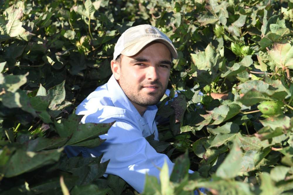 Forward-selling adding certainty to growing cotton