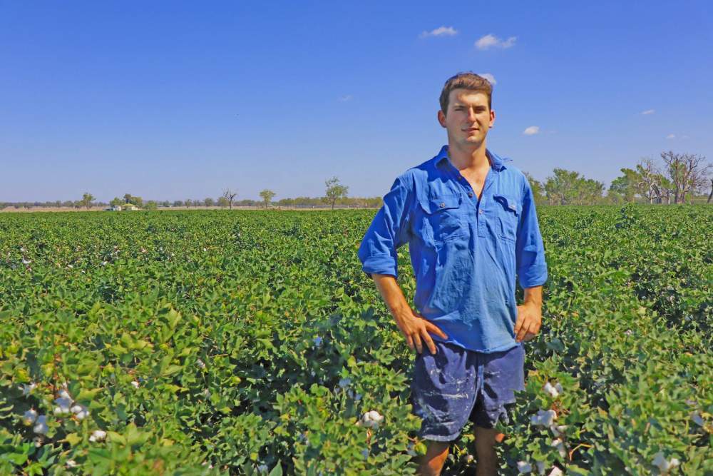 Returns from cotton provide benefits in the drought for Texas grower
