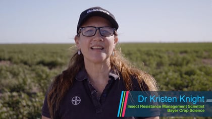 Why Cotton - Dr Kristen Knight, Head of the Bayer Research Centre
