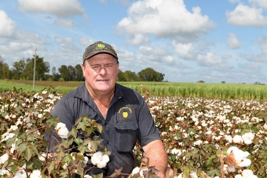Cotton a profitable option on Maryborough cane farm