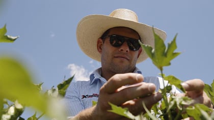 Why Cotton - Bayer Territory Business Manager for Namoi and Walgett - Jack Sharp