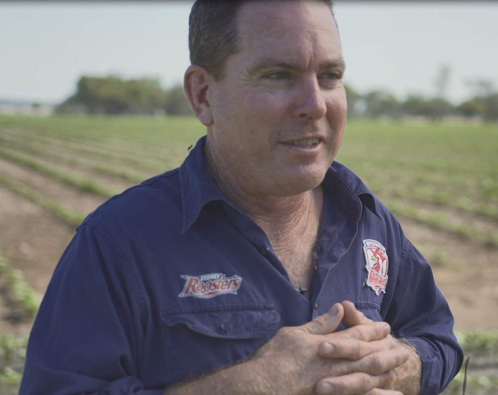 Delungra growers are taking cotton to new heights