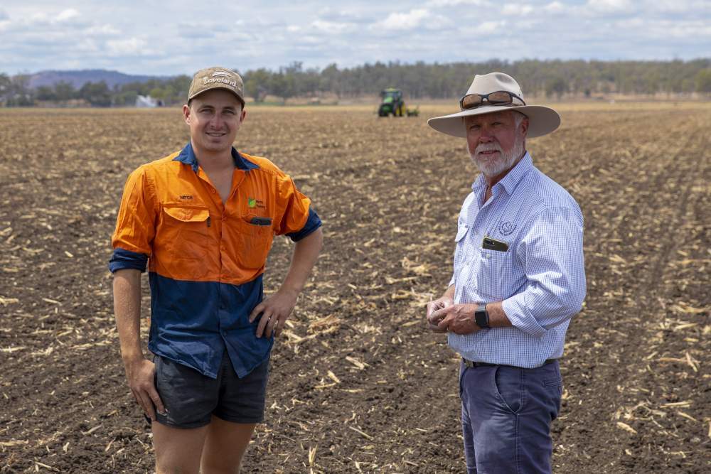 First cotton crop planted in Queensland's Lockyer Valley in 22 years