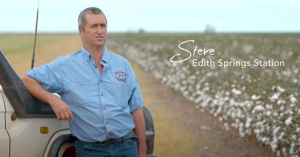 Modern Cotton: Steve - Edith Springs Station