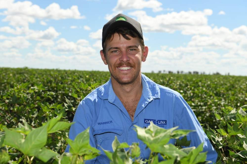Successful first try at dryland cotton for Emerald grower