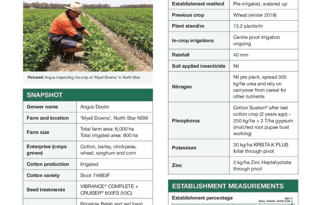 Angus Doolin, North Star, NSW — FastStart case study